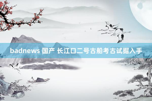 badnews 国产 长江口二号古船考古试掘入手