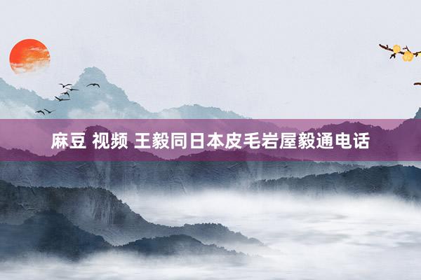 麻豆 视频 王毅同日本皮毛岩屋毅通电话
