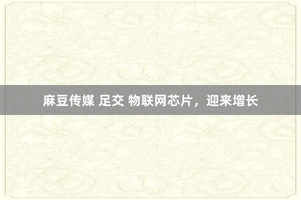 麻豆传媒 足交 物联网芯片，迎来增长