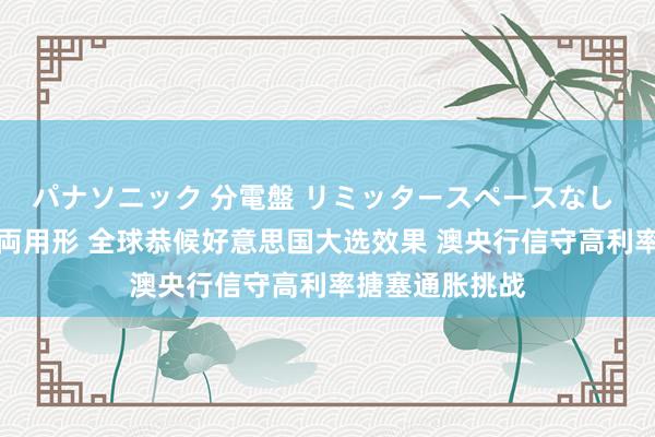 パナソニック 分電盤 リミッタースペースなし 露出・半埋込両用形 全球恭候好意思国大选效果 澳央行信守高利率搪塞通胀挑战