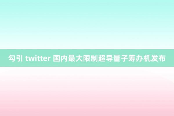 勾引 twitter 国内最大限制超导量子筹办机发布