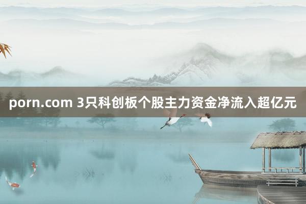 porn.com 3只科创板个股主力资金净流入超亿元