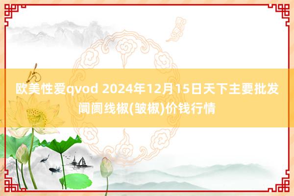 欧美性爱qvod 2024年12月15日天下主要批发阛阓线椒(皱椒)价钱行情