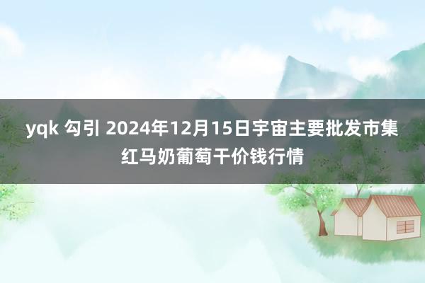 yqk 勾引 2024年12月15日宇宙主要批发市集红马奶葡萄干价钱行情