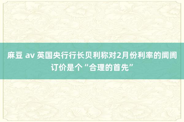 麻豆 av 英国央行行长贝利称对2月份利率的阛阓订价是个“合理的首先”