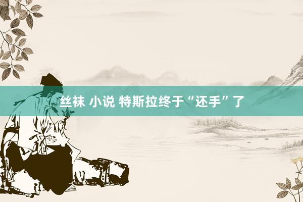 丝袜 小说 特斯拉终于“还手”了