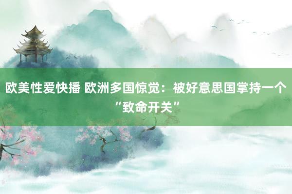 欧美性爱快播 欧洲多国惊觉：被好意思国掌持一个“致命开关”