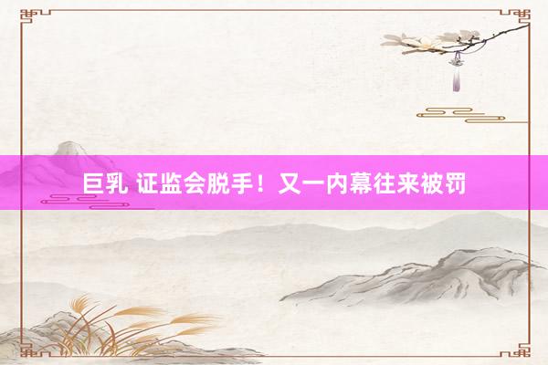 巨乳 证监会脱手！又一内幕往来被罚