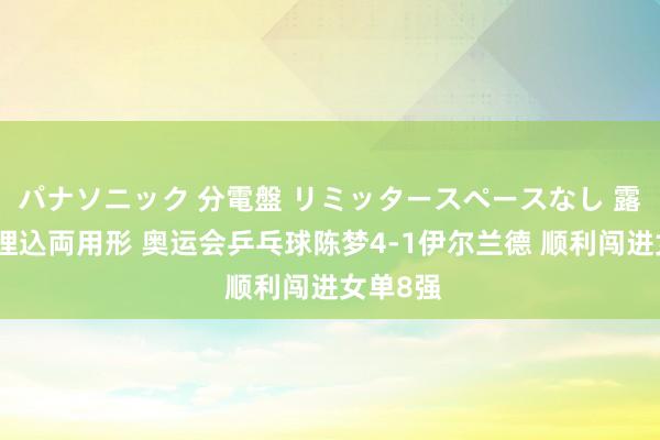 パナソニック 分電盤 リミッタースペースなし 露出・半埋込両用形 奥运会乒乓球陈梦4-1伊尔兰德 顺利闯进女单8强