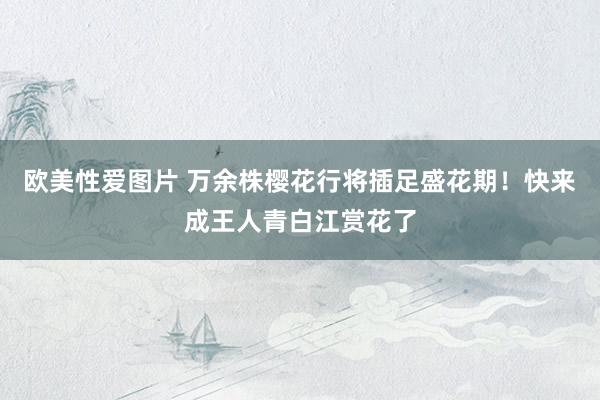 欧美性爱图片 万余株樱花行将插足盛花期！快来成王人青白江赏花了