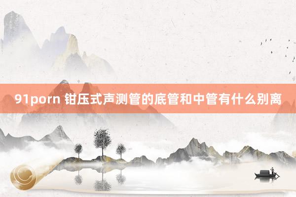 91porn 钳压式声测管的底管和中管有什么别离