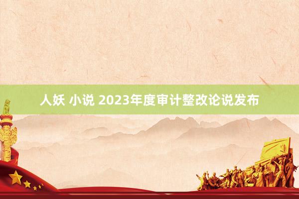 人妖 小说 2023年度审计整改论说发布