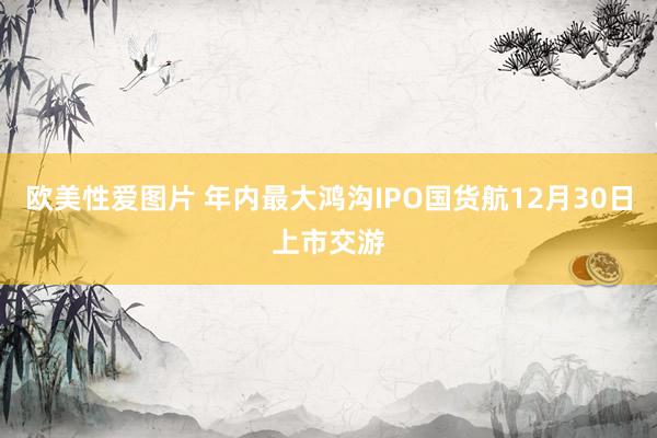 欧美性爱图片 年内最大鸿沟IPO国货航12月30日上市交游