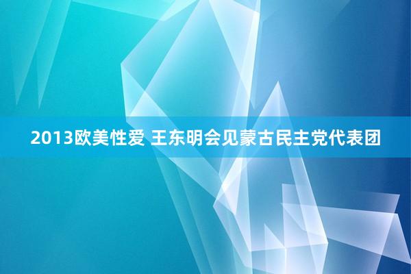 2013欧美性爱 王东明会见蒙古民主党代表团