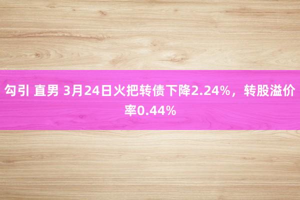 勾引 直男 3月24日火把转债下降2.24%，转股溢价率0.44%