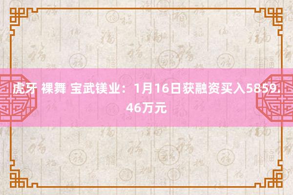 虎牙 裸舞 宝武镁业：1月16日获融资买入5859.46万元