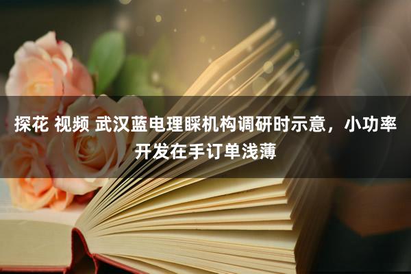 探花 视频 武汉蓝电理睬机构调研时示意，小功率开发在手订单浅薄