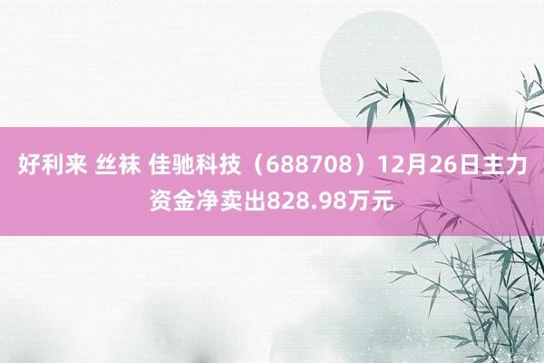 好利来 丝袜 佳驰科技（688708）12月26日主力资金净卖出828.98万元