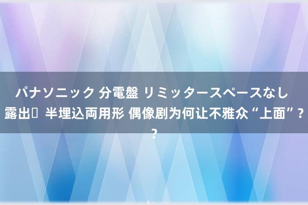 パナソニック 分電盤 リミッタースペースなし 露出・半埋込両用形 偶像剧为何让不雅众“上面”？