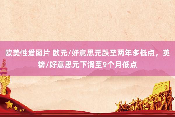 欧美性爱图片 欧元/好意思元跌至两年多低点，英镑/好意思元下滑至9个月低点