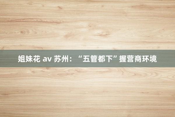 姐妹花 av 苏州：“五管都下”握营商环境