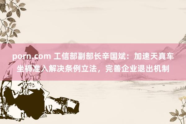 porn.com 工信部副部长辛国斌：加速天真车坐褥准入解决条例立法，完善企业退出机制