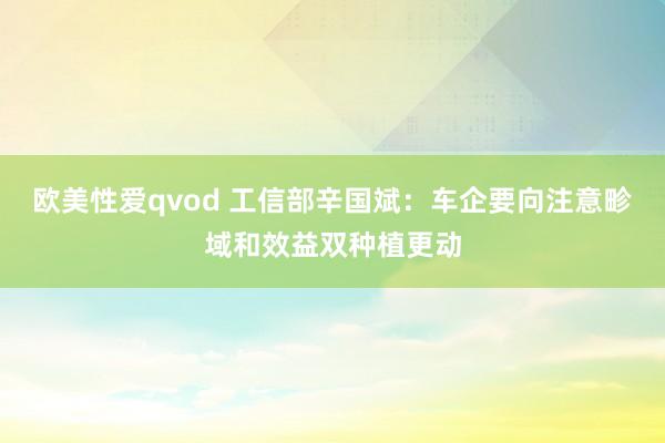 欧美性爱qvod 工信部辛国斌：车企要向注意畛域和效益双种植更动