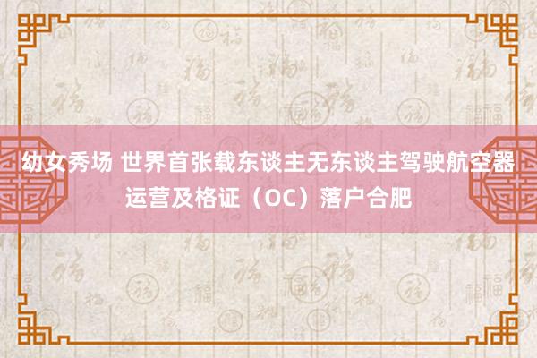 幼女秀场 世界首张载东谈主无东谈主驾驶航空器运营及格证（OC）落户合肥