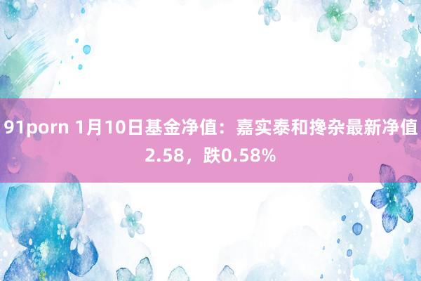 91porn 1月10日基金净值：嘉实泰和搀杂最新净值2.58，跌0.58%