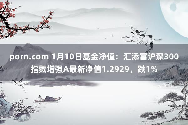 porn.com 1月10日基金净值：汇添富沪深300指数增强A最新净值1.2929，跌1%