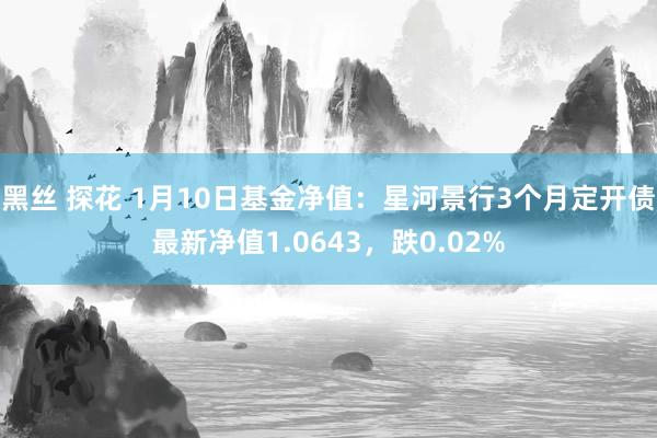 黑丝 探花 1月10日基金净值：星河景行3个月定开债最新净值1.0643，跌0.02%