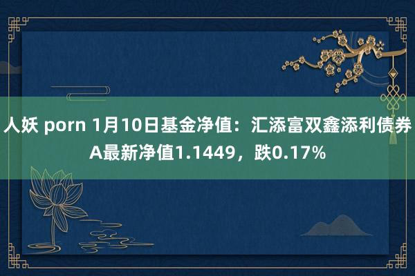人妖 porn 1月10日基金净值：汇添富双鑫添利债券A最新净值1.1449，跌0.17%