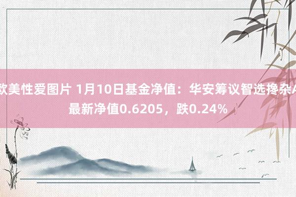 欧美性爱图片 1月10日基金净值：华安筹议智选搀杂A最新净值0.6205，跌0.24%