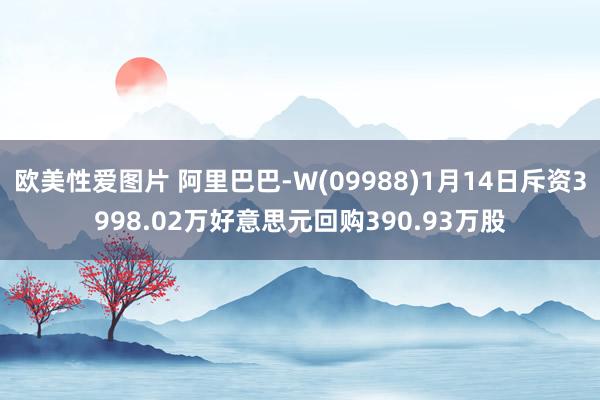 欧美性爱图片 阿里巴巴-W(09988)1月14日斥资3998.02万好意思元回购390.93万股