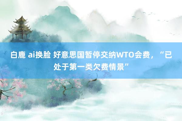 白鹿 ai换脸 好意思国暂停交纳WTO会费，“已处于第一类欠费情景”