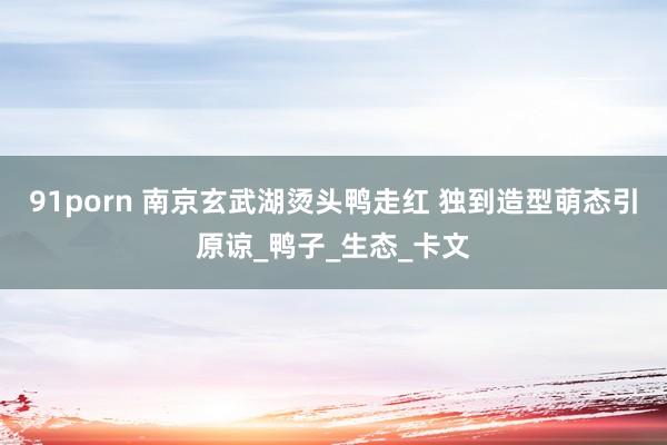 91porn 南京玄武湖烫头鸭走红 独到造型萌态引原谅_鸭子_生态_卡文