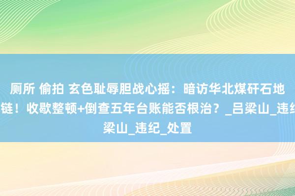 厕所 偷拍 玄色耻辱胆战心摇：暗访华北煤矸石地下产业链！收歇整顿+倒查五年台账能否根治？_吕梁山_违纪_处置