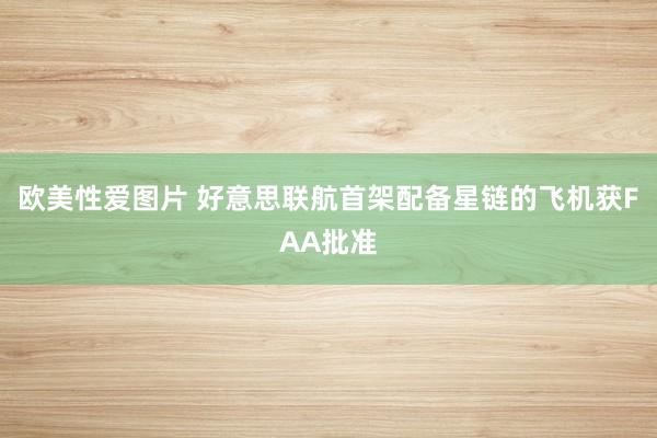 欧美性爱图片 好意思联航首架配备星链的飞机获FAA批准