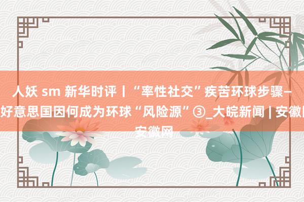 人妖 sm 新华时评丨“率性社交”疾苦环球步骤——好意思国因何成为环球“风险源”③_大皖新闻 | 安徽网