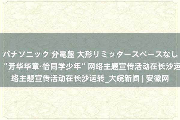 パナソニック 分電盤 大形リミッタースペースなし 露出・半埋込両用形 “芳华华章·恰同学少年”网络主题宣传活动在长沙运转_大皖新闻 | 安徽网