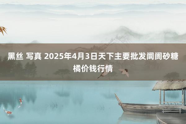 黑丝 写真 2025年4月3日天下主要批发阛阓砂糖橘价钱行情