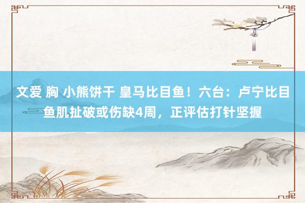 文爱 胸 小熊饼干 皇马比目鱼！六台：卢宁比目鱼肌扯破或伤缺4周，正评估打针坚握