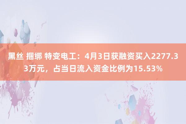黑丝 捆绑 特变电工：4月3日获融资买入2277.33万元，占当日流入资金比例为15.53%