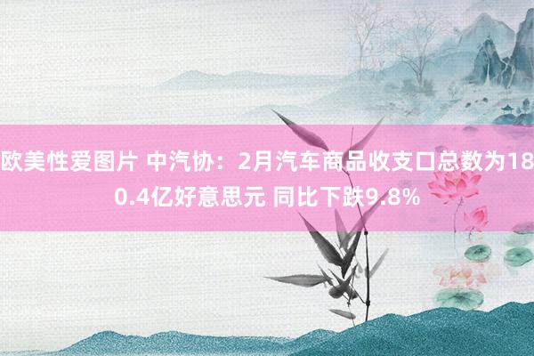 欧美性爱图片 中汽协：2月汽车商品收支口总数为180.4亿好意思元 同比下跌9.8%