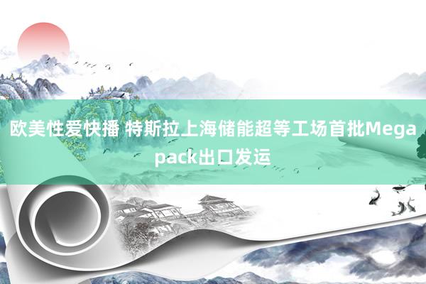 欧美性爱快播 特斯拉上海储能超等工场首批Megapack出口发运