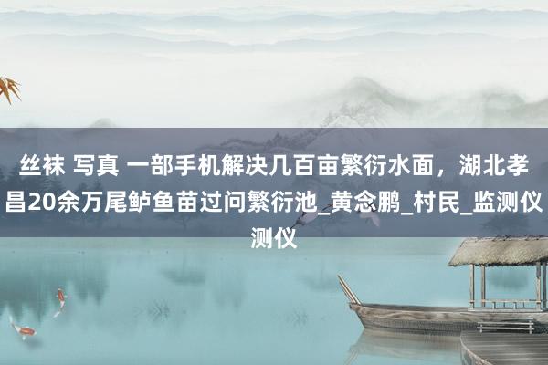 丝袜 写真 一部手机解决几百亩繁衍水面，湖北孝昌20余万尾鲈鱼苗过问繁衍池_黄念鹏_村民_监测仪
