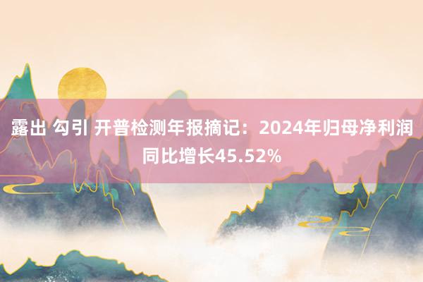 露出 勾引 开普检测年报摘记：2024年归母净利润同比增长45.52%