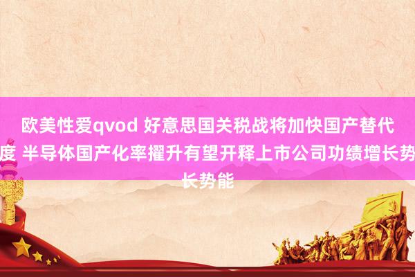 欧美性爱qvod 好意思国关税战将加快国产替代进度 半导体国产化率擢升有望开释上市公司功绩增长势能