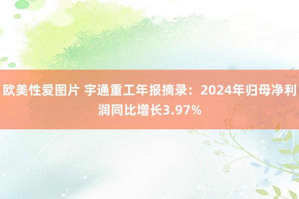 欧美性爱图片 宇通重工年报摘录：2024年归母净利润同比增长3.97%