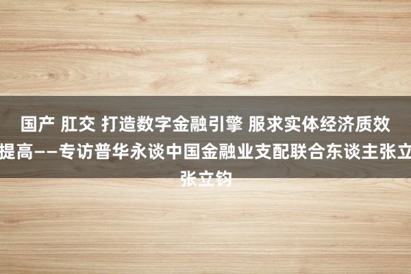 国产 肛交 打造数字金融引擎 服求实体经济质效双提高——专访普华永谈中国金融业支配联合东谈主张立钧